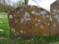Garsdon - photo: 00064