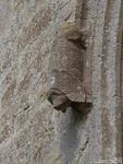 Garsdon - photo: 00123