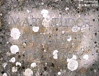 Hannington - photo: D00505