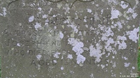 Hannington - photo: 00052