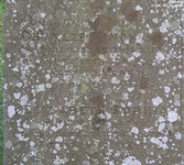 Hannington - photo: 00056