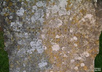 Hannington - photo: 00091