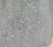 Hannington - photo: 00096