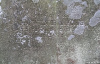 Hannington - photo: 00126