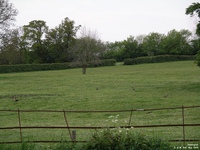 Hannington - photo: 00209