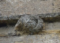Highworth - photo: 0281