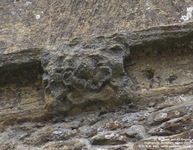 Highworth - photo: 0285