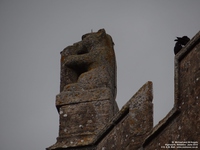 Highworth - photo: 0353