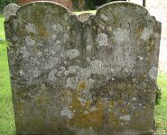 Ham - photo: 047