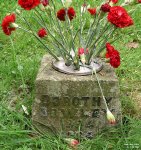 Ham - photo: 074