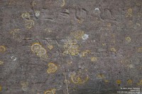 Imber - photo: 0110