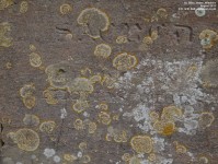 Imber - photo: 0111