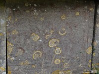 Imber - photo: 0152