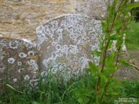 Inglesham - photo: 0014