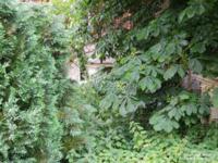 Inglesham - photo: 0029
