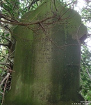 Jack's Green - photo: 006