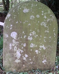 Jack's Green - photo: 013