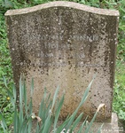 Jack's Green - photo: 026