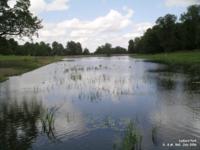 Lydiard Park - photo: 0047