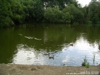 Lydiard Park - photo: 0095
