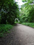 Lydiard Park - photo: 0100