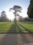 Lydiard Park - photo: 0111