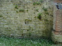 Lydiard Park - photo: 0178