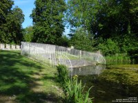Lydiard Park - photo: 0225