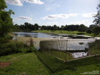 Lydiard Park - photo: 0229