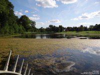 Lydiard Park - photo: 0230