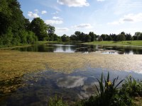 Lydiard Park - photo: 0231