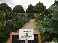 Lydiard Park - photo: 0245