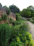 Lydiard Park - photo: 0246
