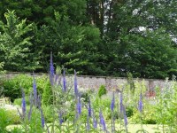 Lydiard Park - photo: 0270