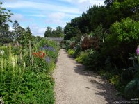 Lydiard Park - photo: 0273