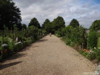 Lydiard Park - photo: 0278