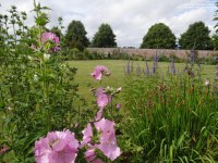 Lydiard Park - photo: 0293