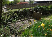 Leigh Delamere - photo: 0502