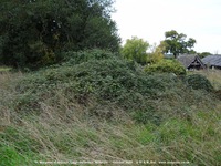 Leigh Delamere - photo: 0971