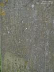 Hinton Parva - photo: 0119