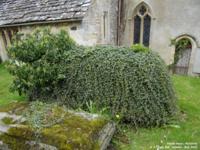 Hinton Parva - photo: 0163