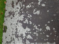 Little Cheverell - photo: 00005