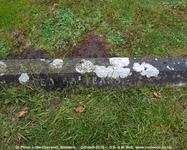 Little Cheverell - photo: 00046