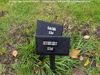Little Cheverell - photo: 00048