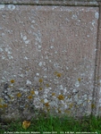 Little Cheverell - photo: 00130