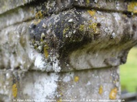 Little Cheverell - photo: 00138