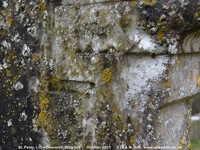 Little Cheverell - photo: 00139