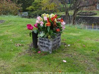 Little Cheverell - photo: 00168