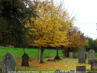 Little Cheverell - photo: 00196