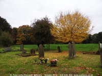 Little Cheverell - photo: 00197